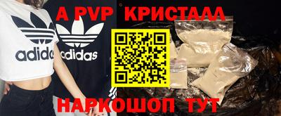 стаф Аргун