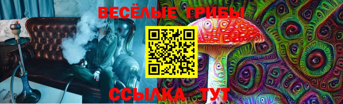 Бор  как найти закладки  Псилоцибиновые грибы ЛСД  Вход с VPN  Псилоцибиновые грибы мицелий 