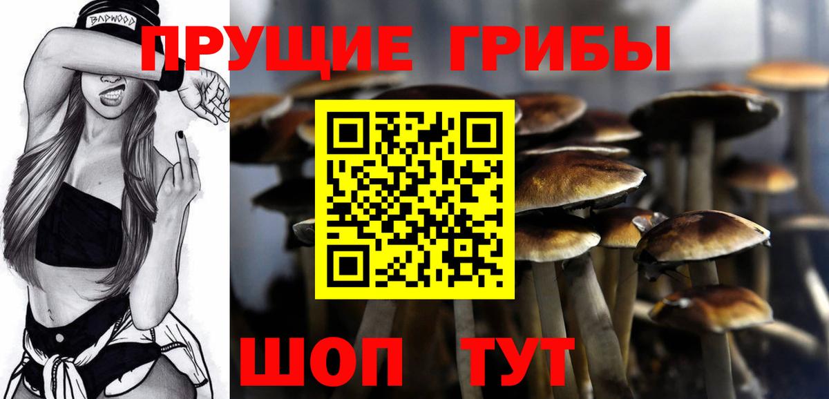 Псилоцибиновые грибы прущие грибы Бор